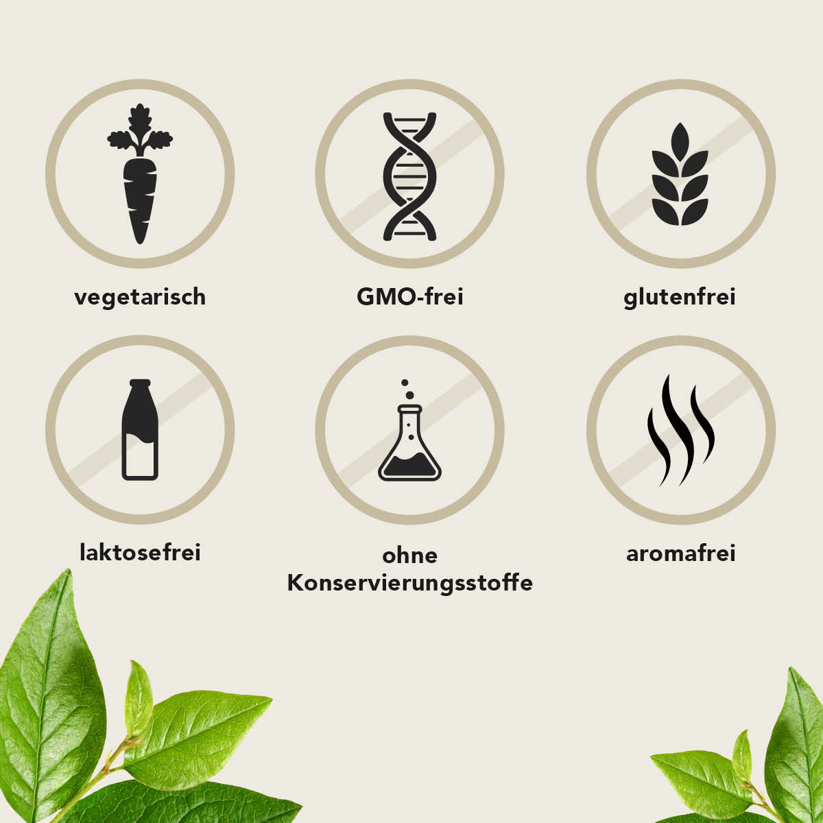 Produktbild von GehirnFit Pro