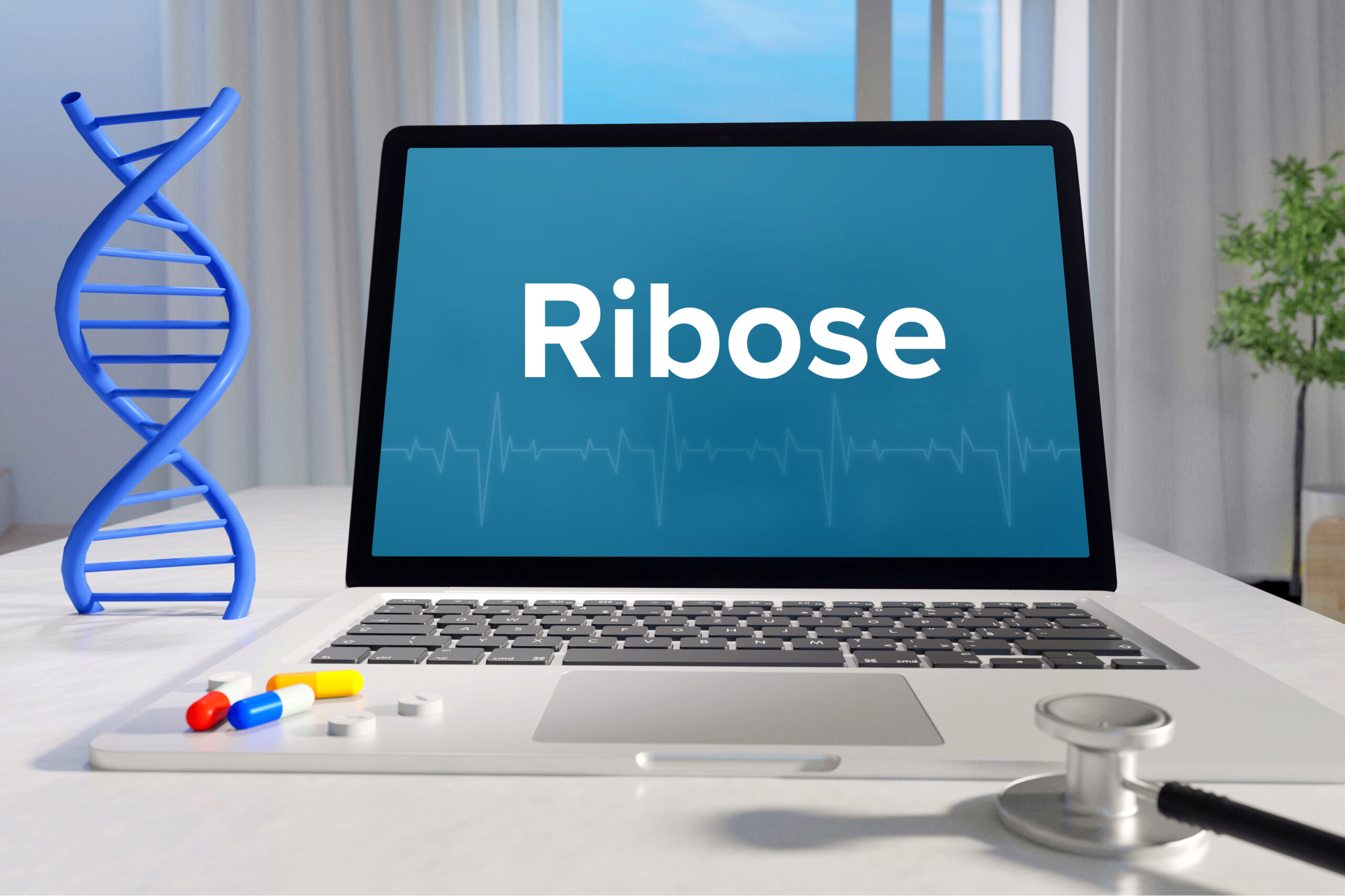 Ribose: alles zu Wirkung, Dosierung und Anwendung