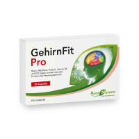 GehirnFit Pro AT_1790226_1