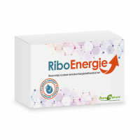 Ribo Energie AT_1790363_1